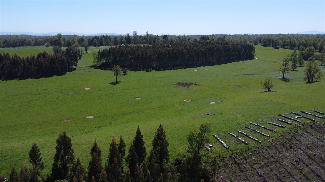 Praderas del parque desde el aire